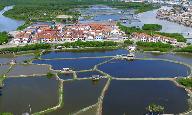 ilha-de-deus-turismo-criativo