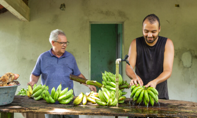 Chita Chips - Chips de Banana