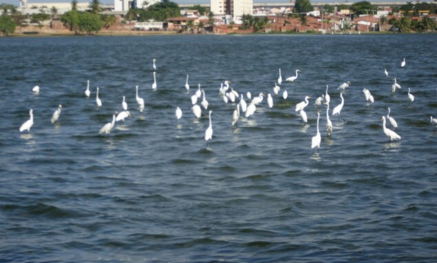 lagoa fortaleza