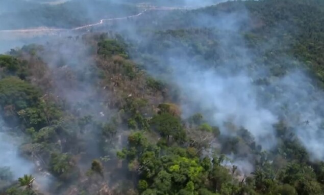 queimadas-amazonia