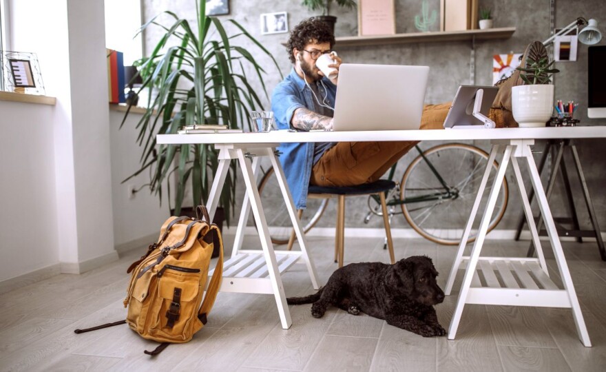 Handsome Young Man Working In Comfort of His Home