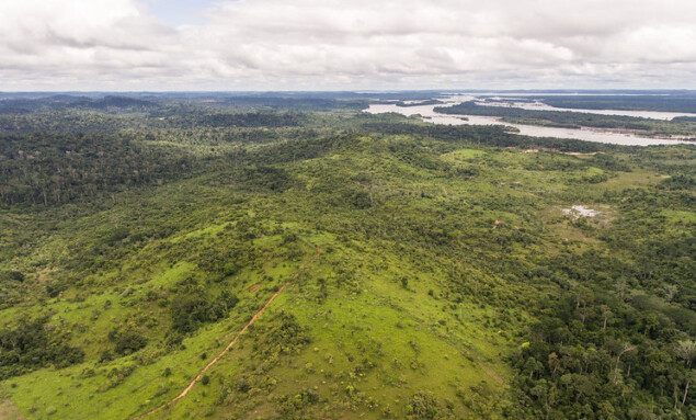 Foto Cícero Pedrosa Neto-Amazônia Real