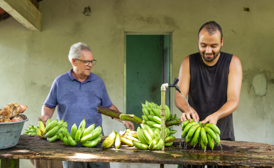 O Tipitix e um projeto de empreendedorismo agroalimentar comunitário é uma iniciativa voltada à promoção de soluções para desenvolvimento sustentável na Amazônia. O Tipitix oferece oportunidades a empreendedores e grupos sociais da região para o desenvolvimento de produtos com base na agricultura familiar, por meio de apoio técnico nas áreas de tecnologia de alimentos, contabilidade, marketing e comercialização. O Tipitix oferece ainda uma unidade de beneficiamento onde os produtos são beneficiados com todos os protocolos de qualidade. Mais informações sobre o projeto podem ser encontradas em seu site: https://.tipitix.com.br/ 

O Tipitix é uma iniciativa do Fundo de Sustentabilidade Hydro e da Fundação Mitsui Bussan do Brasil para contribuir com o desenvolvimento territorial de Barcarena, no Pará, e conta com o Instituto Peabiru como parceiro de implementação. 

O Instituto Peabiru é uma Organização da Sociedade Civil de Interesse Público – OSCIP com a missão de “Facilitar processos de fortalecimento da organização social e da valorização da sociobiodiversidade para que as populações extrativistas e os agricultores familiares da Amazônia sejam protagonistas de sua realidade”.