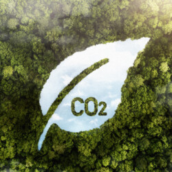 <a href="https://br.freepik.com/fotos-gratis/vista-de-arvores-verdes-da-floresta-com-co2_31481258.htm#fromView=search&page=1&position=4&uuid=8df2d21f-126e-4d95-8c3a-8fbf56b0a8c0">Imagem de freepik</a>