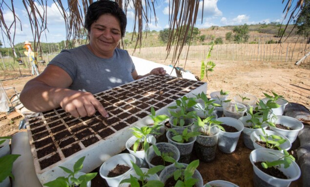 O Sertão Vivo chega em um momento crítico para a segurança alimentar no Brasil (foto: © Manuela Cavadas / FIDA).